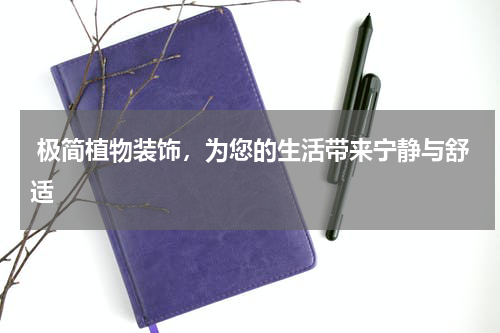  极简植物装饰，为您的生活带来宁静与舒适