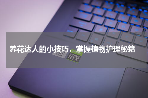  养花达人的小技巧，掌握植物护理秘籍