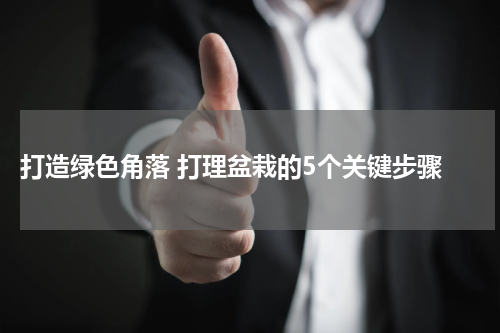  打造绿色角落 打理盆栽的5个关键步骤