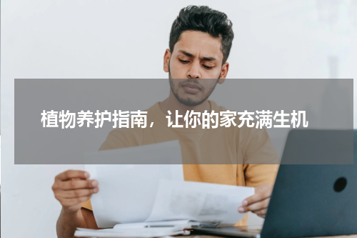  植物养护指南，让你的家充满生机
