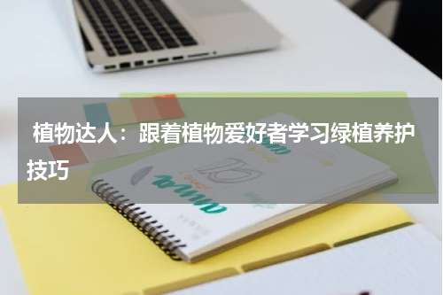  植物达人：跟着植物爱好者学习绿植养护技巧