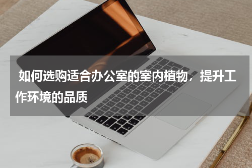  如何选购适合办公室的室内植物，提升工作环境的品质