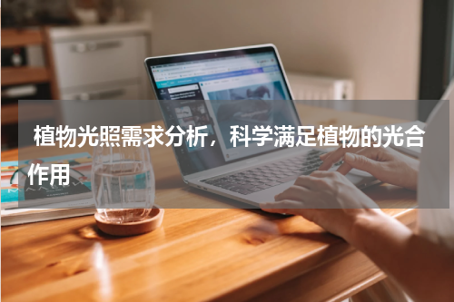  植物光照需求分析，科学满足植物的光合作用