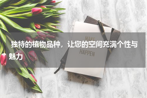  独特的植物品种，让您的空间充满个性与魅力
