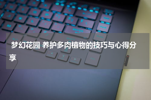  梦幻花园 养护多肉植物的技巧与心得分享