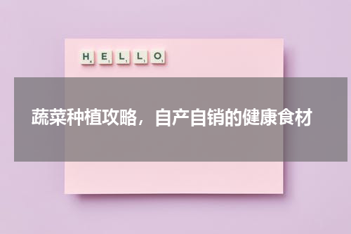  蔬菜种植攻略，自产自销的健康食材