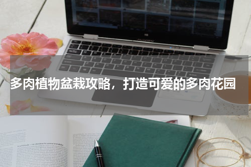  多肉植物盆栽攻略，打造可爱的多肉花园