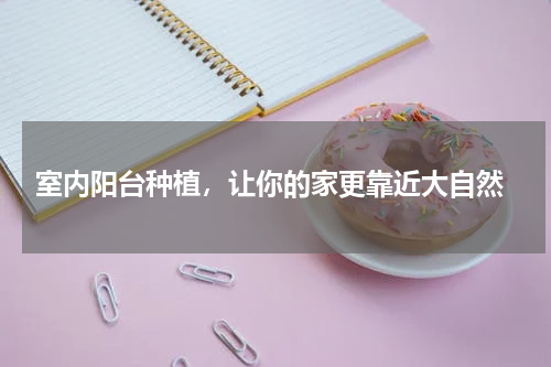  室内阳台种植，让你的家更靠近大自然