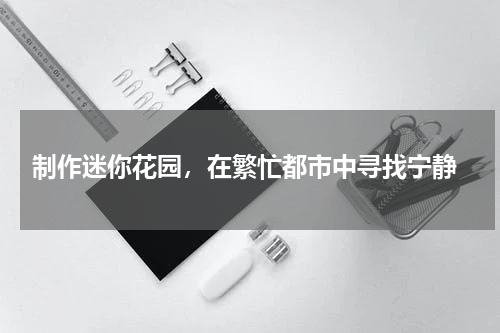  制作迷你花园，在繁忙都市中寻找宁静