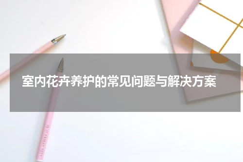  室内花卉养护的常见问题与解决方案