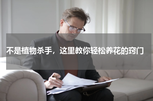  不是植物杀手，这里教你轻松养花的窍门