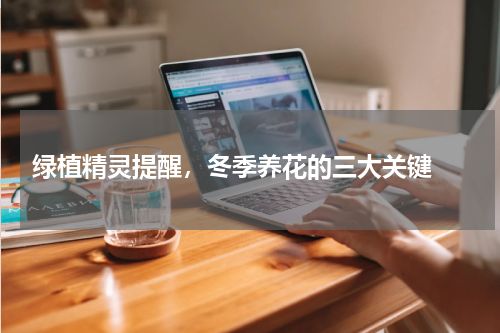  绿植精灵提醒，冬季养花的三大关键 