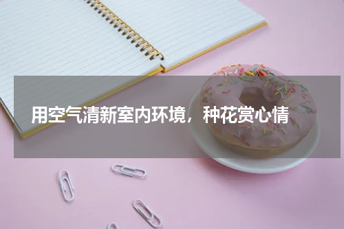  用空气清新室内环境，种花赏心情 