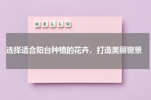  选择适合阳台种植的花卉，打造美丽窗景
