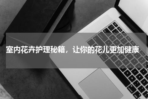  室内花卉护理秘籍，让你的花儿更加健康