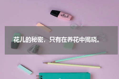  花儿的秘密，只有在养花中揭晓。
