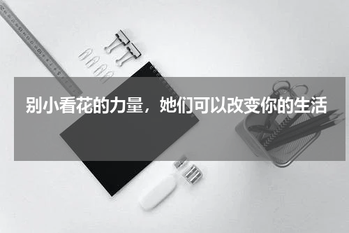  别小看花的力量，她们可以改变你的生活 