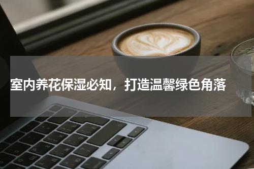  室内养花保湿必知，打造温馨绿色角落 