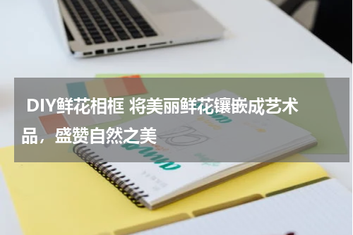  DIY鲜花相框 将美丽鲜花镶嵌成艺术品，盛赞自然之美 