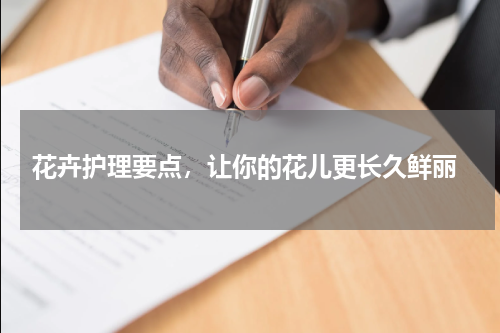  花卉护理要点，让你的花儿更长久鲜丽