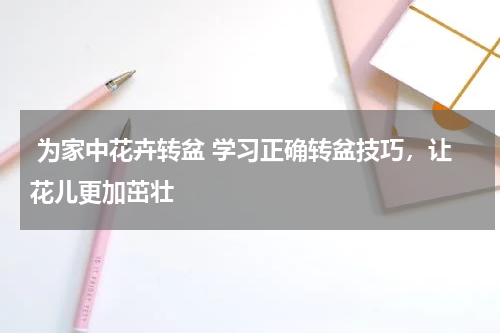 为家中花卉转盆 学习正确转盆技巧，让花儿更加茁壮 
