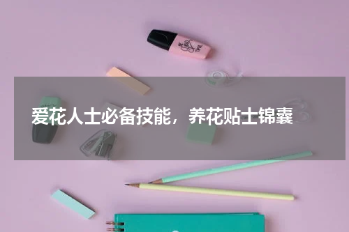  爱花人士必备技能，养花贴士锦囊 