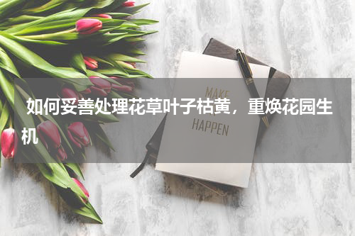  如何妥善处理花草叶子枯黄，重焕花园生机 