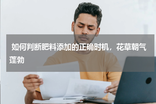  如何判断肥料添加的正确时机，花草朝气蓬勃 