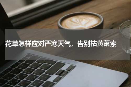  花草怎样应对严寒天气，告别枯黄萧索 