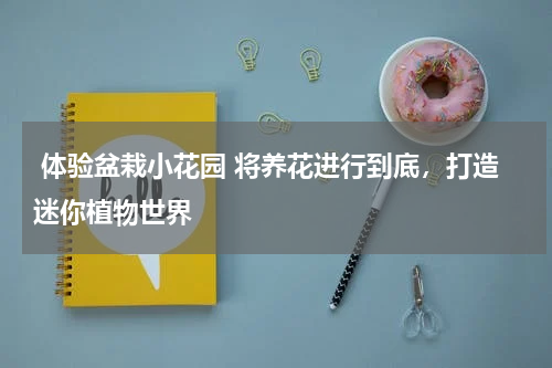  体验盆栽小花园 将养花进行到底，打造迷你植物世界 