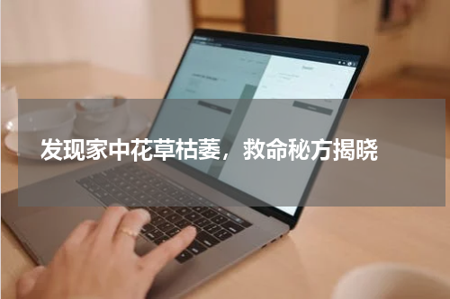  发现家中花草枯萎，救命秘方揭晓 