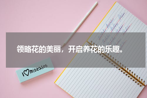  领略花的美丽，开启养花的乐趣。