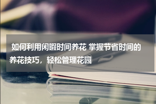  如何利用闲暇时间养花 掌握节省时间的养花技巧，轻松管理花园 
