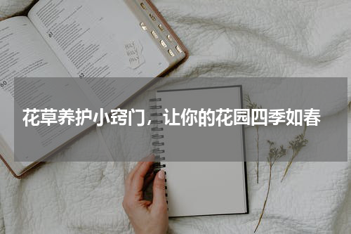  花草养护小窍门，让你的花园四季如春