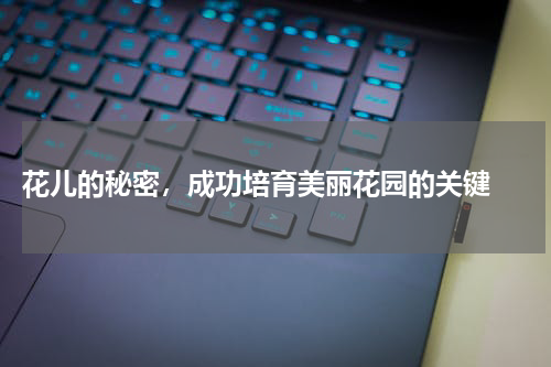  花儿的秘密，成功培育美丽花园的关键 