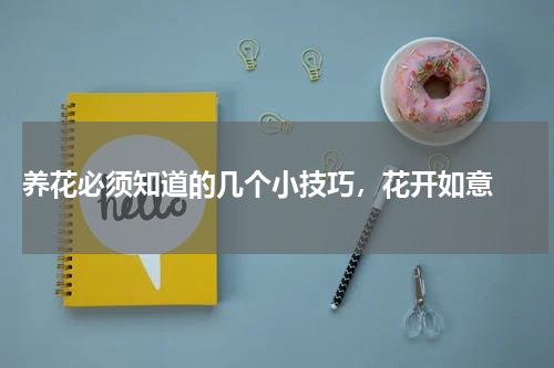  养花必须知道的几个小技巧，花开如意 