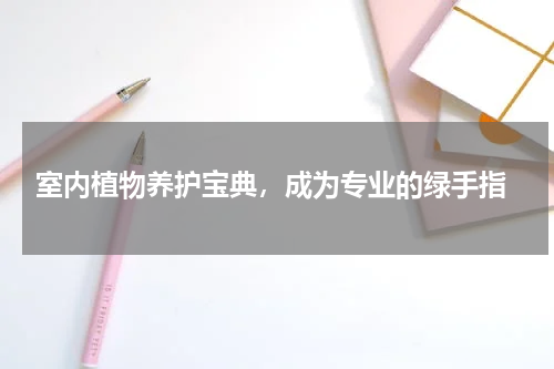  室内植物养护宝典，成为专业的绿手指