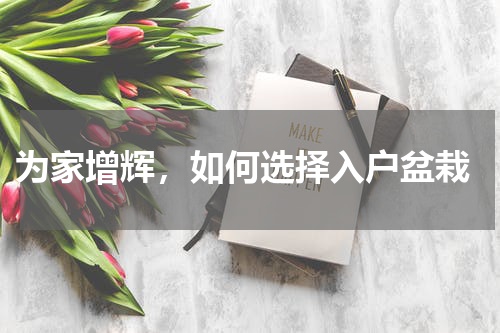  为家增辉，如何选择入户盆栽