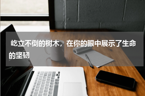  屹立不倒的树木，在你的眼中展示了生命的坚韧