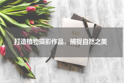  打造植物摄影作品，捕捉自然之美