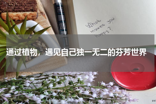  通过植物，遇见自己独一无二的芬芳世界