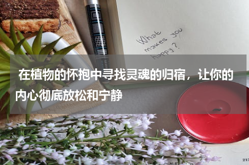  在植物的怀抱中寻找灵魂的归宿，让你的内心彻底放松和宁静