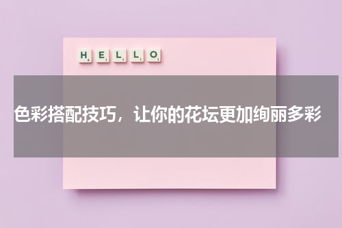  色彩搭配技巧，让你的花坛更加绚丽多彩