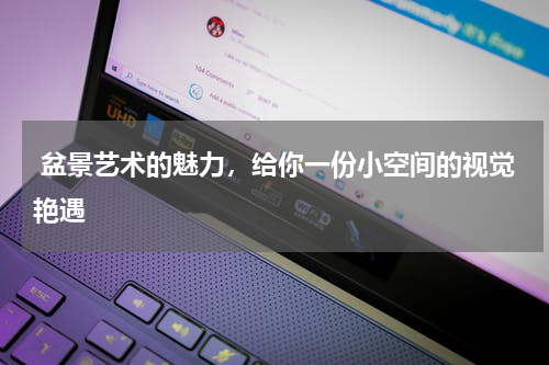  盆景艺术的魅力，给你一份小空间的视觉艳遇