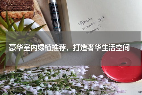  豪华室内绿植推荐，打造奢华生活空间