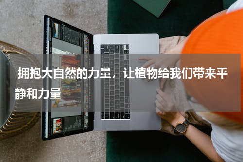  拥抱大自然的力量，让植物给我们带来平静和力量