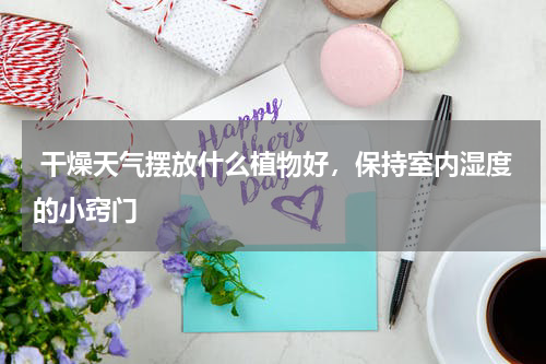  干燥天气摆放什么植物好，保持室内湿度的小窍门