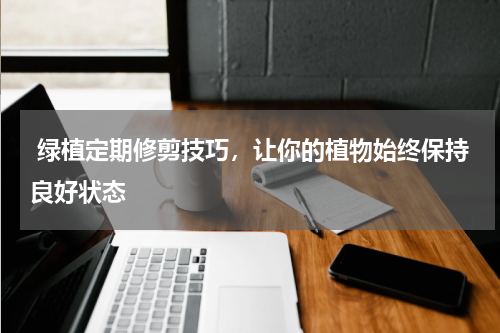  绿植定期修剪技巧，让你的植物始终保持良好状态