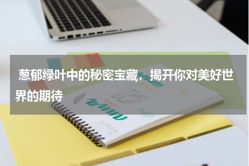  葱郁绿叶中的秘密宝藏，揭开你对美好世界的期待