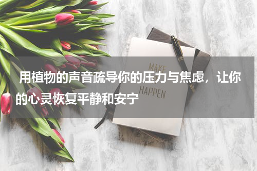  用植物的声音疏导你的压力与焦虑，让你的心灵恢复平静和安宁